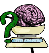 Brain Anim