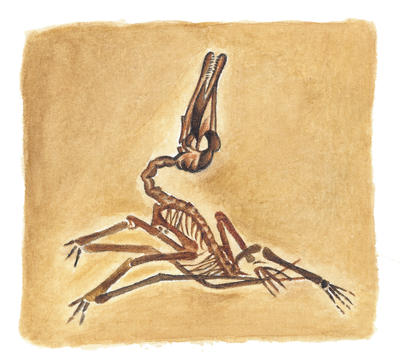 Related Image