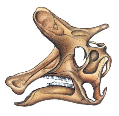 Related Image