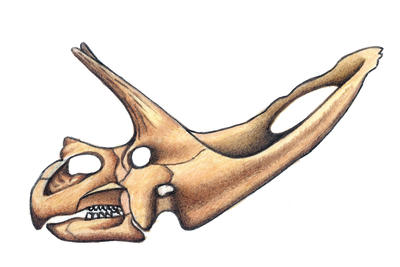Related Image