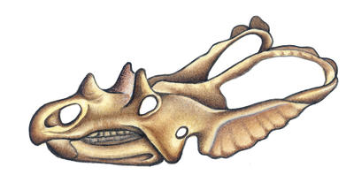 Related Image