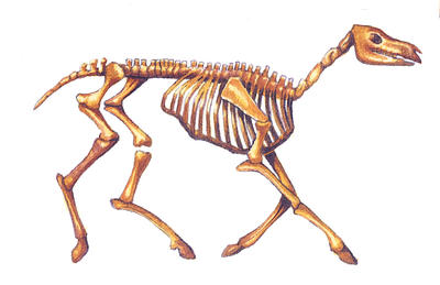 Related Image