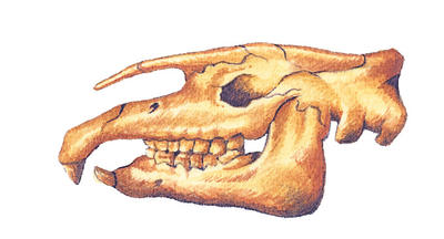 Related Image
