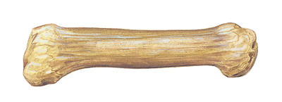 Related Image