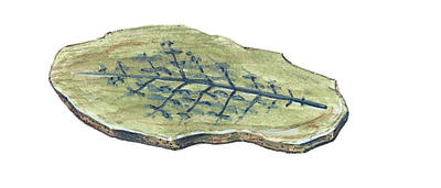 Related Image