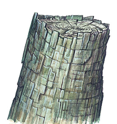 Related Image