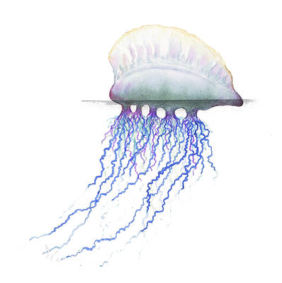 Related Image
