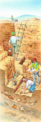 Related Image