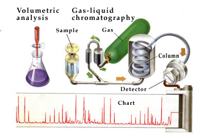Related Image