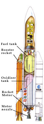 Related Image