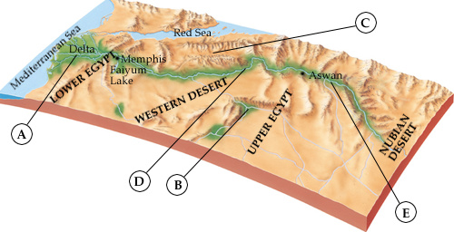 Related Image