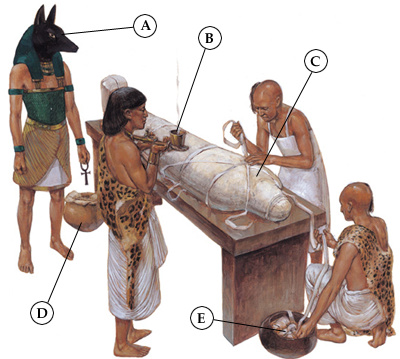 Related Image