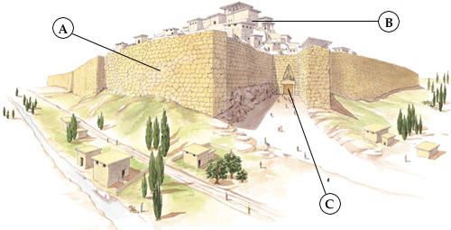 Related Image