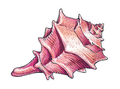 Related Image