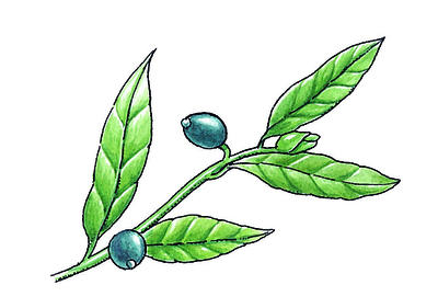 Related Image