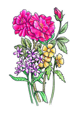 Related Image