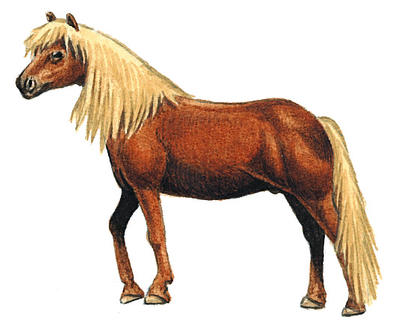 Related Image