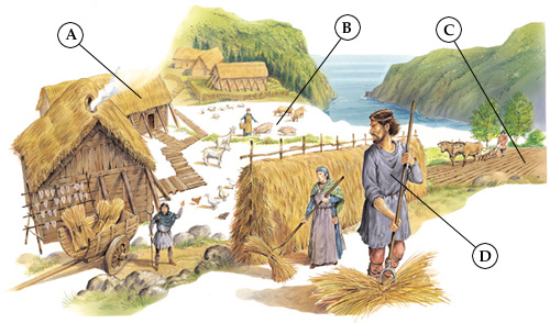 Related Image