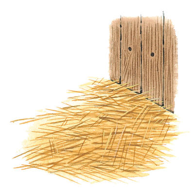 Related Image