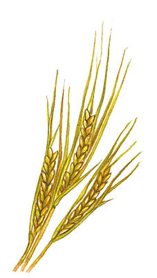 Related Image