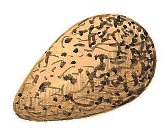 Related Image