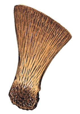 Related Image