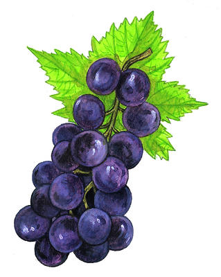 Related Image