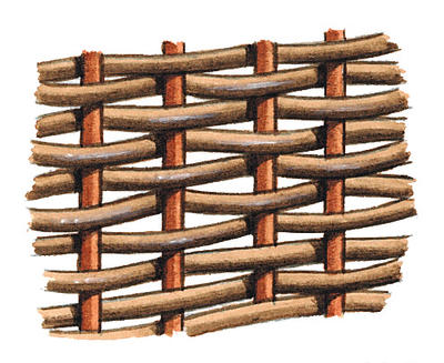 Related Image