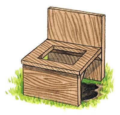 Related Image