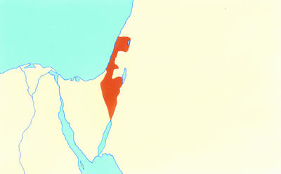 Related Image
