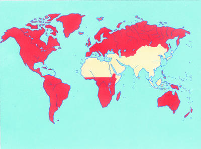 Related Image
