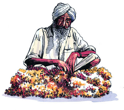 Related Image