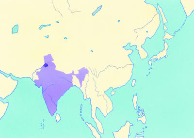 Related Image