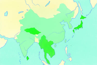 Related Image
