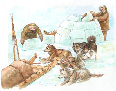 The early Inuit arrived about 2500-1800 B.C. They were nomadic hunters who used blocks of packed ice to build snow houses as temporary shelters.